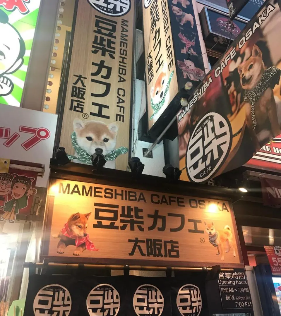 Family House Apartment Osaka 0*,